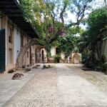Palazzo Butera La corte della Jacaranda –